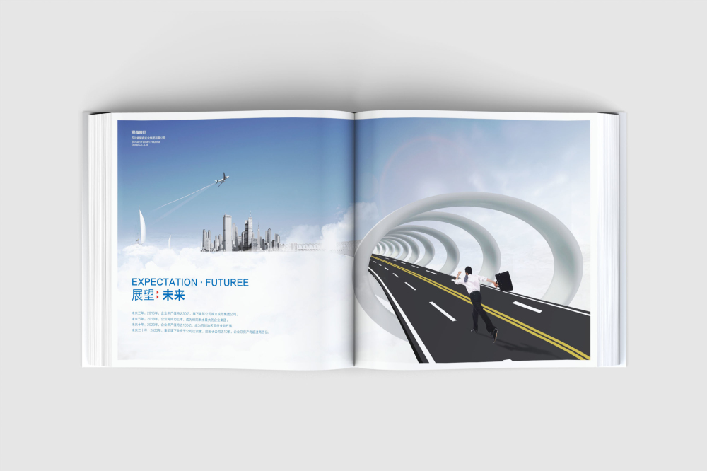 西市区画册设计